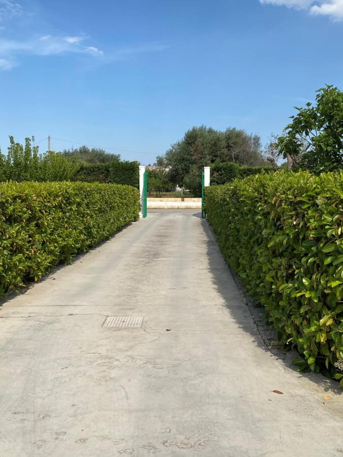 Villa Vita オーリア エクステリア 写真