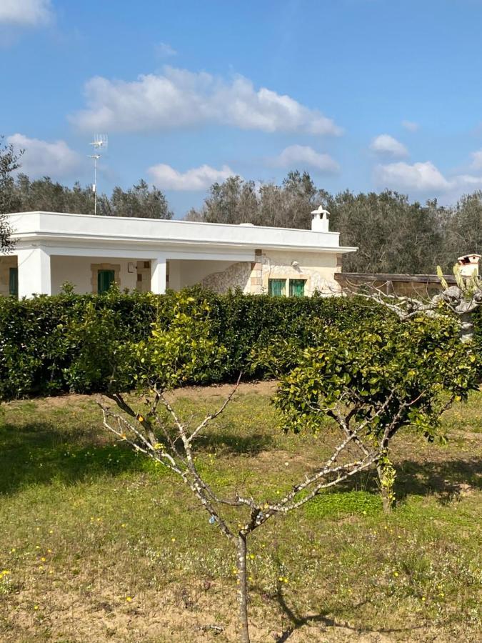Villa Vita オーリア エクステリア 写真