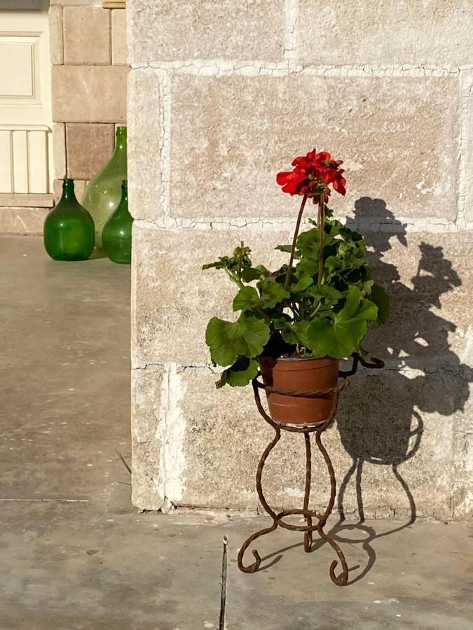 Villa Vita オーリア エクステリア 写真